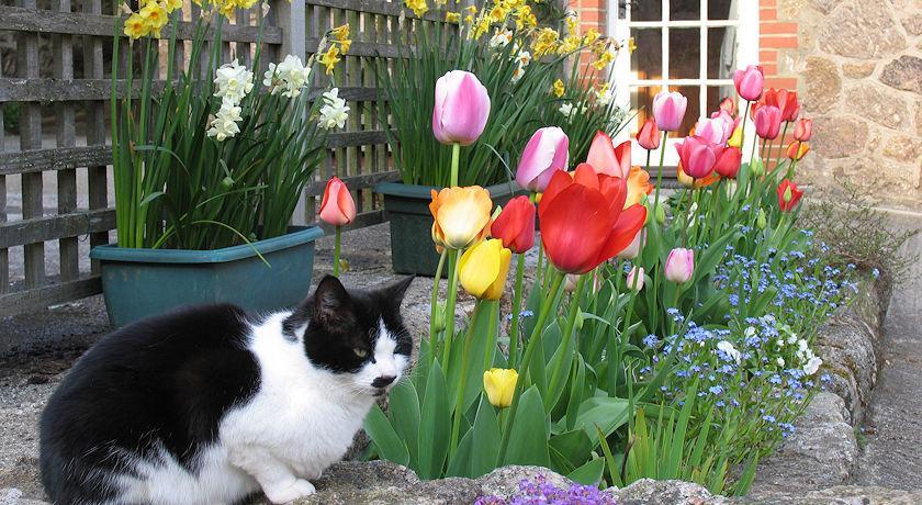 Budleigh Farm Cottages Moretonhampstead Luaran gambar