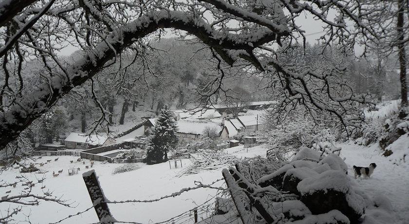 Budleigh Farm Cottages Moretonhampstead Luaran gambar